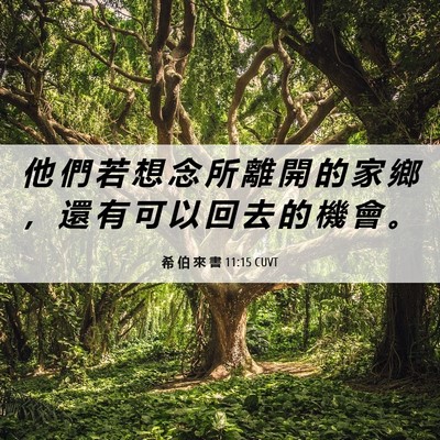 Picture 06 - 希 伯 來 書 11:15 CUVT - 他 們 若 想 念 所 離 開 的 家 鄉 ， - Bible Verse Picture
