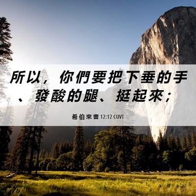 Picture 06 - 希 伯 來 書 12:12 CUVT - 所 以 ， 你 們 要 把 下 垂 的 手 、 - Bible Verse Picture