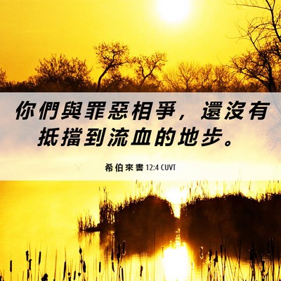 Picture 06 - 希 伯 來 書 12:4 CUVT - 你 們 與 罪 惡 相 爭 ， 還 沒 有 抵 - Bible Verse Picture