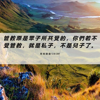 Picture 06 - 希 伯 來 書 12:8 CUVT - 管 教 原 是 眾 子 所 共 受 的 ， 你 - Bible Verse Picture