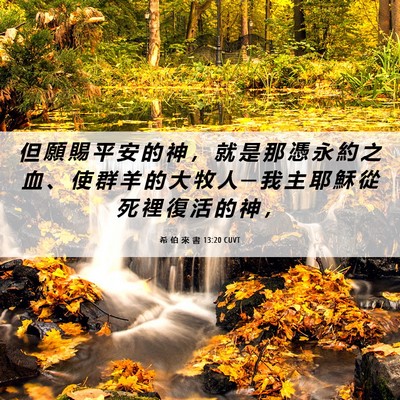 Picture 06 - 希 伯 來 書 13:20 CUVT - 但 願 賜 平 安 的 神 ， 就 是 那 憑 - Bible Verse Picture
