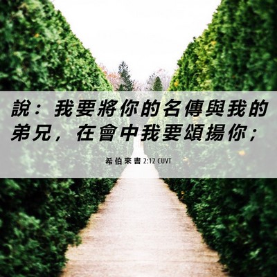 Picture 06 - 希 伯 來 書 2:12 CUVT - 說 ： 我 要 將 你 的 名 傳 與 我 的 - Bible Verse Picture
