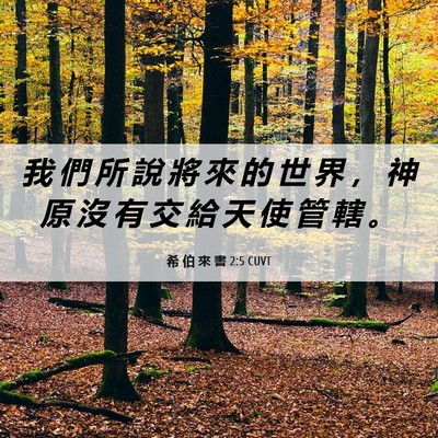 Picture 06 - 希 伯 來 書 2:5 CUVT - 我 們 所 說 將 來 的 世 界 ， 神 原 - Bible Verse Picture