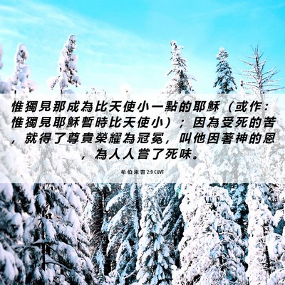 Picture 06 - 希 伯 來 書 2:9 CUVT - 惟 獨 見 那 成 為 比 天 使 小 一 點 - Bible Verse Picture