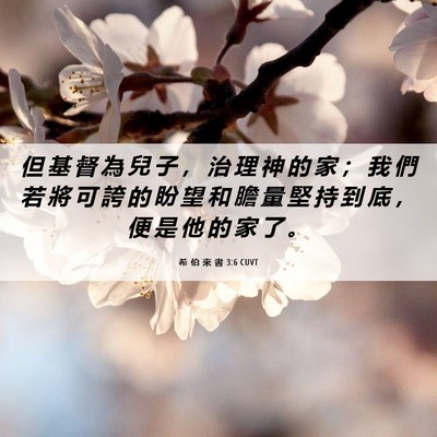 Picture 06 - 希 伯 來 書 3:6 CUVT - 但 基 督 為 兒 子 ， 治 理 神 的 家 - Bible Verse Picture