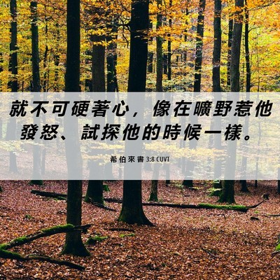 Picture 06 - 希 伯 來 書 3:8 CUVT - 就 不 可 硬 著 心 ， 像 在 曠 野 惹 - Bible Verse Picture