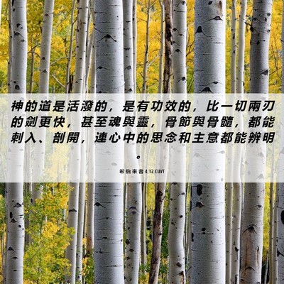 Picture 06 - 希 伯 來 書 4:12 CUVT - 神 的 道 是 活 潑 的 ， 是 有 功 效 - Bible Verse Picture