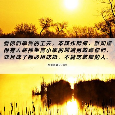 Picture 06 - 希 伯 來 書 5:12 CUVT - 看 你 們 學 習 的 工 夫 ， 本 該 作 - Bible Verse Picture