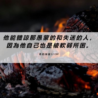 Picture 06 - 希 伯 來 書 5:2 CUVT - 他 能 體 諒 那 愚 蒙 的 和 失 迷 的 - Bible Verse Picture