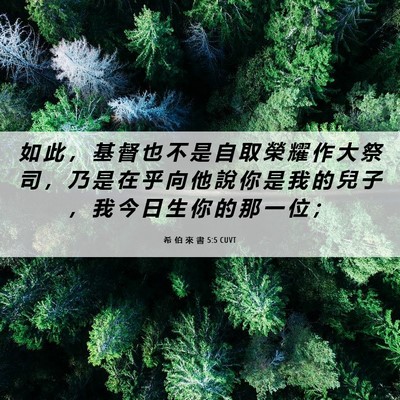 Picture 06 - 希 伯 來 書 5:5 CUVT - 如 此 ， 基 督 也 不 是 自 取 榮 耀 - Bible Verse Picture