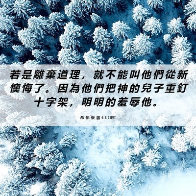 Picture 06 - 希 伯 來 書 6:6 CUVT - 若 是 離 棄 道 理 ， 就 不 能 叫 他 - Bible Verse Picture