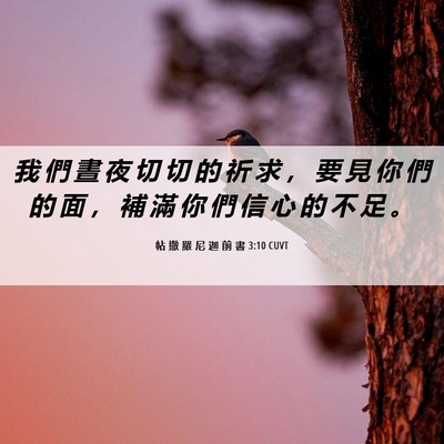 Picture 06 - 帖 撒 羅 尼 迦 前 書 3:10 CUVT - 我 們 晝 夜 切 切 的 祈 求 ， 要 見 - Bible Verse Picture