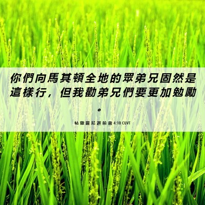 Picture 06 - 帖 撒 羅 尼 迦 前 書 4:10 CUVT - 你 們 向 馬 其 頓 全 地 的 眾 弟 兄 - Bible Verse Picture