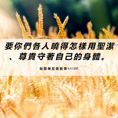 Picture 06 - 帖 撒 羅 尼 迦 前 書 4:4 CUVT - 要 你 們 各 人 曉 得 怎 樣 用 聖 潔 - Bible Verse Picture