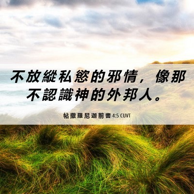 Picture 06 - 帖 撒 羅 尼 迦 前 書 4:5 CUVT - 不 放 縱 私 慾 的 邪 情 ， 像 那 不 - Bible Verse Picture