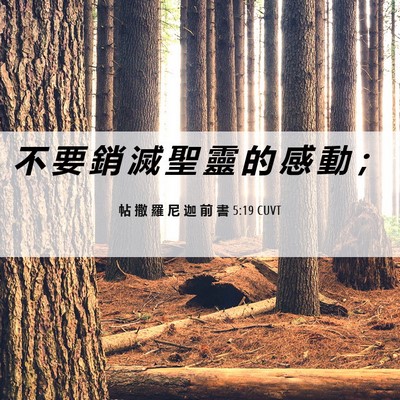 Picture 06 - 帖 撒 羅 尼 迦 前 書 5:19 CUVT - 不 要 銷 滅 聖 靈 的 感 動 - Bible Verse Picture