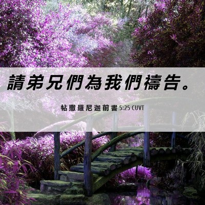 Picture 06 - 帖 撒 羅 尼 迦 前 書 5:25 CUVT - 請 弟 兄 們 為 我 們 禱 告 - Bible Verse Picture