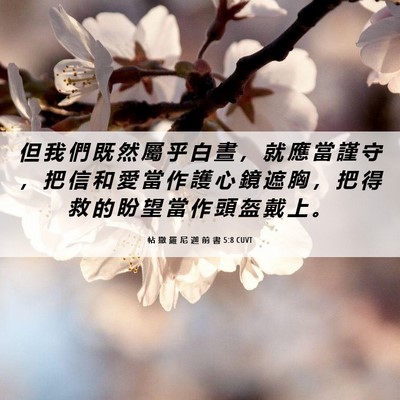 Picture 06 - 帖 撒 羅 尼 迦 前 書 5:8 CUVT - 但 我 們 既 然 屬 乎 白 晝 ， 就 應 - Bible Verse Picture