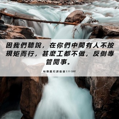 Picture 06 - 帖 撒 羅 尼 迦 後 書 3:11 CUVT - 因 我 們 聽 說 ， 在 你 們 中 間 有 - Bible Verse Picture