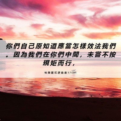 Picture 06 - 帖 撒 羅 尼 迦 後 書 3:7 CUVT - 你 們 自 己 原 知 道 應 當 怎 樣 效 - Bible Verse Picture