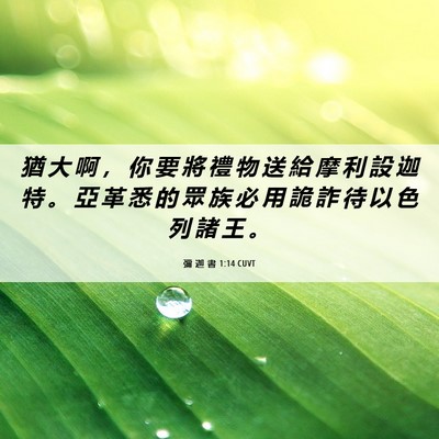 Picture 06 - 彌 迦 書 1:14 CUVT - 猶 大 啊 ， 你 要 將 禮 物 送 給 摩 - Bible Verse Picture