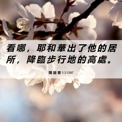 Picture 06 - 彌 迦 書 1:3 CUVT - 看 哪 ， 耶 和 華 出 了 他 的 居 所 - Bible Verse Picture