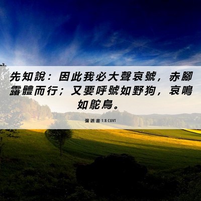 Picture 06 - 彌 迦 書 1:8 CUVT - 先 知 說 ： 因 此 我 必 大 聲 哀 號 - Bible Verse Picture