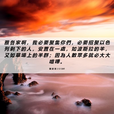 Picture 06 - 彌 迦 書 2:12 CUVT - 雅 各 家 啊 ， 我 必 要 聚 集 你 們 - Bible Verse Picture