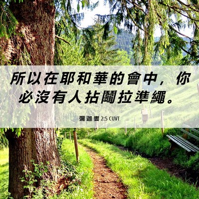 Picture 06 - 彌 迦 書 2:5 CUVT - 所 以 在 耶 和 華 的 會 中 ， 你 必 - Bible Verse Picture