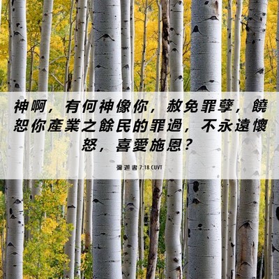 Picture 06 - 彌 迦 書 7:18 CUVT - 神 啊 ， 有 何 神 像 你 ， 赦 免 罪 - Bible Verse Picture