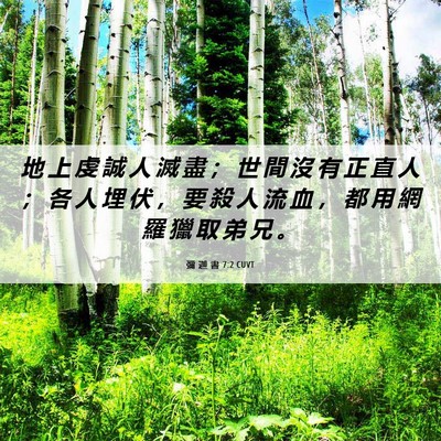 Picture 06 - 彌 迦 書 7:2 CUVT - 地 上 虔 誠 人 滅 盡 ； 世 間 沒 有 - Bible Verse Picture