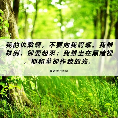 Picture 06 - 彌 迦 書 7:8 CUVT - 我 的 仇 敵 啊 ， 不 要 向 我 誇 耀 - Bible Verse Picture