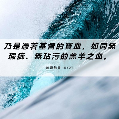 Picture 06 - 彼 得 前 書 1:19 CUVT - 乃 是 憑 著 基 督 的 寶 血 ， 如 同 - Bible Verse Picture
