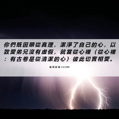 Picture 06 - 彼 得 前 書 1:22 CUVT - 你 們 既 因 順 從 真 理 ， 潔 淨 了 - Bible Verse Picture