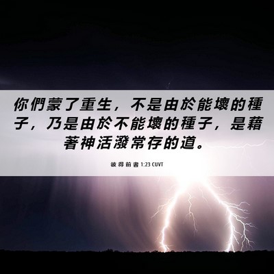 Picture 06 - 彼 得 前 書 1:23 CUVT - 你 們 蒙 了 重 生 ， 不 是 由 於 能 - Bible Verse Picture