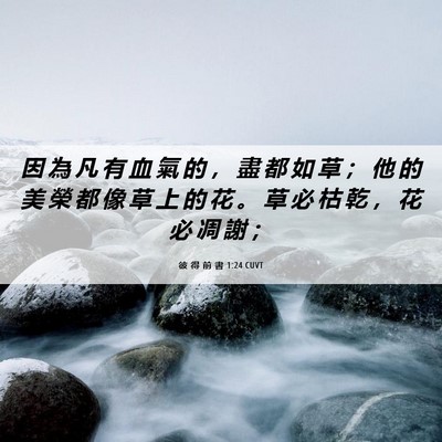 Picture 06 - 彼 得 前 書 1:24 CUVT - 因 為 凡 有 血 氣 的 ， 盡 都 如 草 - Bible Verse Picture