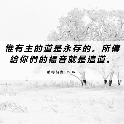 Picture 06 - 彼 得 前 書 1:25 CUVT - 惟 有 主 的 道 是 永 存 的 。 所 傳 - Bible Verse Picture