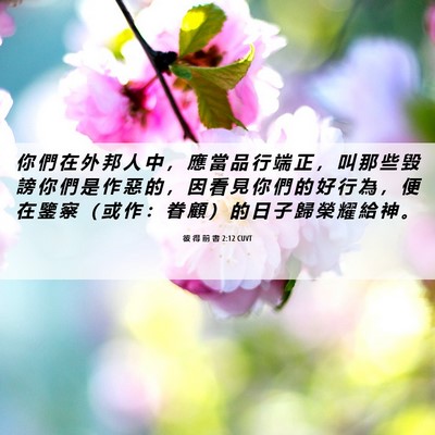 Picture 06 - 彼 得 前 書 2:12 CUVT - 你 們 在 外 邦 人 中 ， 應 當 品 行 - Bible Verse Picture