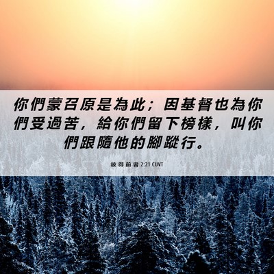 Picture 06 - 彼 得 前 書 2:21 CUVT - 你 們 蒙 召 原 是 為 此 ； 因 基 督 - Bible Verse Picture