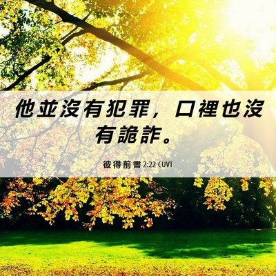 Picture 06 - 彼 得 前 書 2:22 CUVT - 他 並 沒 有 犯 罪 ， 口 裡 也 沒 有 - Bible Verse Picture