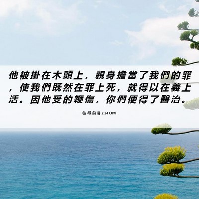Picture 06 - 彼 得 前 書 2:24 CUVT - 他 被 掛 在 木 頭 上 ， 親 身 擔 當 - Bible Verse Picture