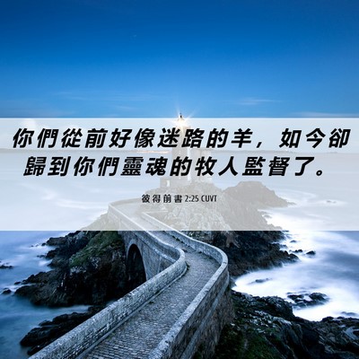 Picture 06 - 彼 得 前 書 2:25 CUVT - 你 們 從 前 好 像 迷 路 的 羊 ， 如 - Bible Verse Picture