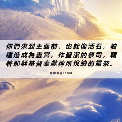 Picture 06 - 彼 得 前 書 2:5 CUVT - 你 們 來 到 主 面 前 ， 也 就 像 活 - Bible Verse Picture