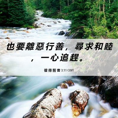 Picture 06 - 彼 得 前 書 3:11 CUVT - 也 要 離 惡 行 善 ， 尋 求 和 睦 ， - Bible Verse Picture
