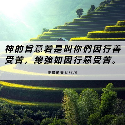 Picture 06 - 彼 得 前 書 3:17 CUVT - 神 的 旨 意 若 是 叫 你 們 因 行 善 - Bible Verse Picture