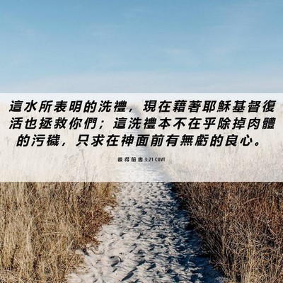 Picture 06 - 彼 得 前 書 3:21 CUVT - 這 水 所 表 明 的 洗 禮 ， 現 在 藉 - Bible Verse Picture