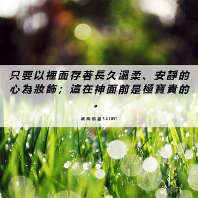 Picture 06 - 彼 得 前 書 3:4 CUVT - 只 要 以 裡 面 存 著 長 久 溫 柔 、 - Bible Verse Picture