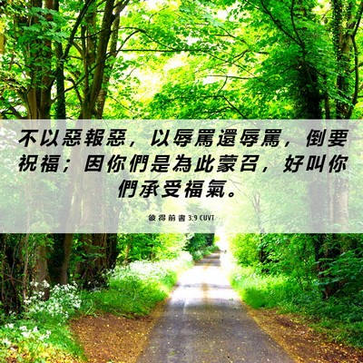 Picture 06 - 彼 得 前 書 3:9 CUVT - 不 以 惡 報 惡 ， 以 辱 罵 還 辱 罵 - Bible Verse Picture