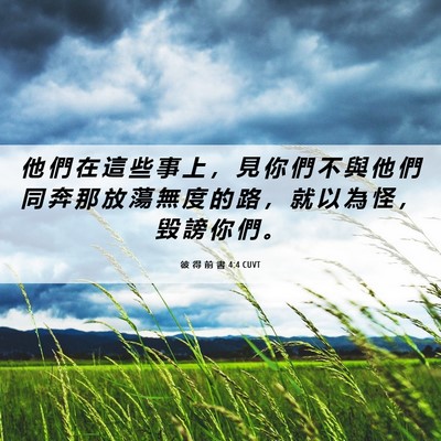 Picture 06 - 彼 得 前 書 4:4 CUVT - 他 們 在 這 些 事 上 ， 見 你 們 不 - Bible Verse Picture