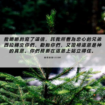 Picture 06 - 彼 得 前 書 5:12 CUVT - 我 略 略 的 寫 了 這 信 ， 託 我 所 - Bible Verse Picture